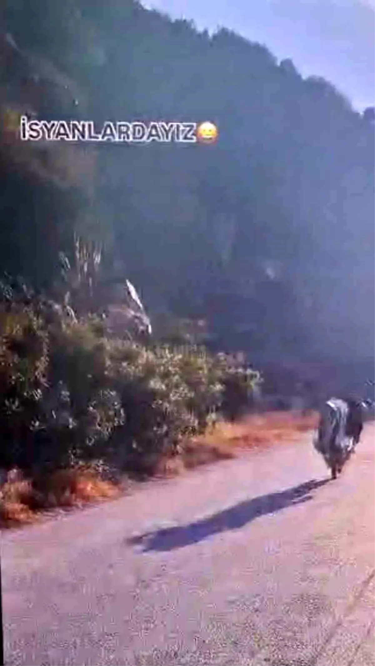 Hatay’da Akrobatik Motosiklet Sürüşüne 6.908 TL Ceza Kesildi