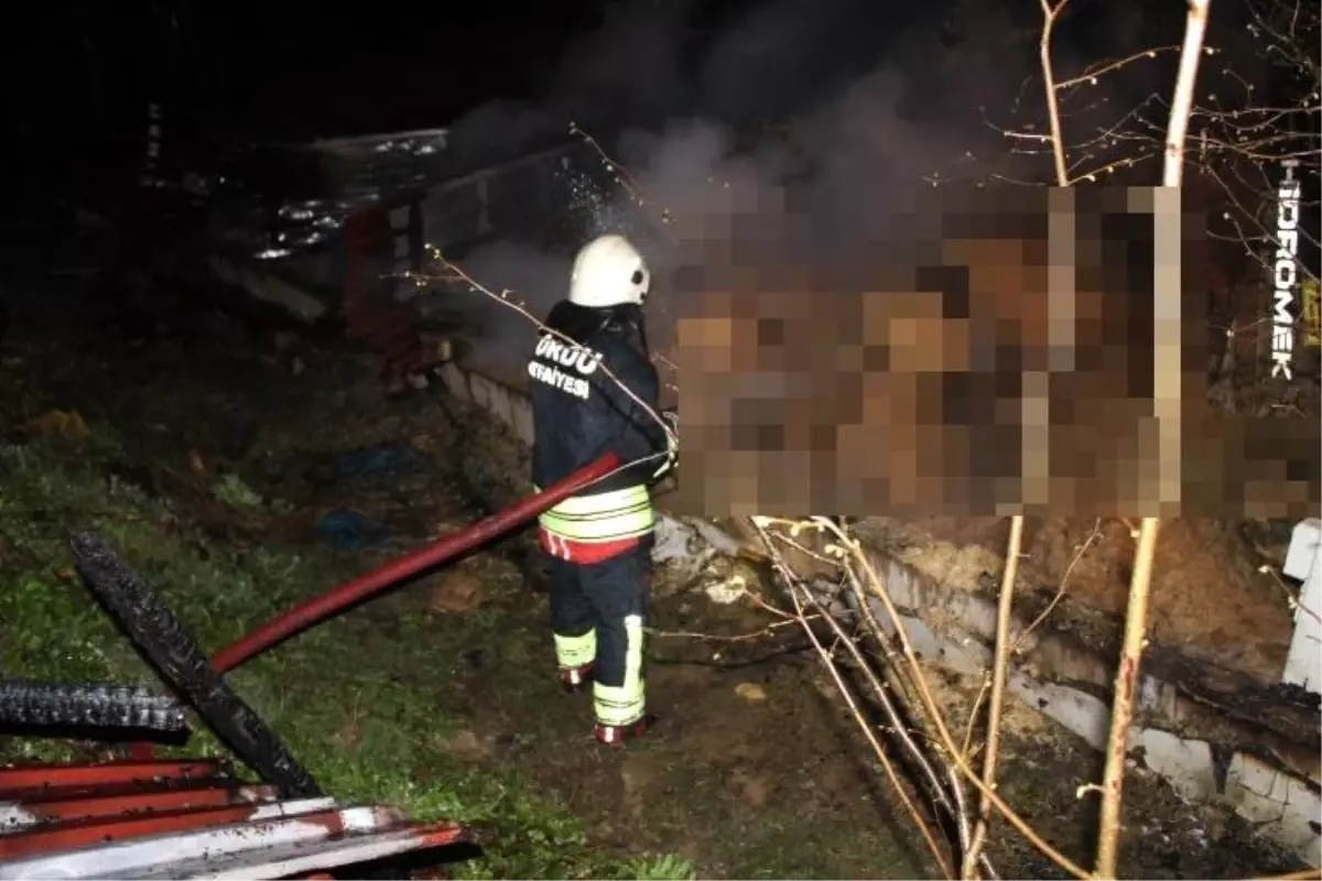 Ordu Ünye'de Ahır Yangını: 27 Büyükbaş Hayvan Hayata Veda Etti