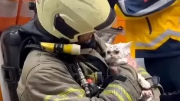 Fatih’te Ahşap Bina Yangını Komşu Binasına Sıçradı, Kedi Kurtarıldı