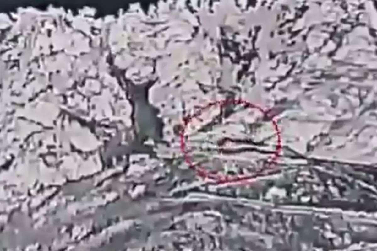 Pakistan'ın Afganistan'a Yönelik Hava Saldırıları Görüntülendi