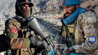 Afganistan'dan Pakistan'a Barış Sinyali: Zeytin Dalı ve Diyalog Çağrısı