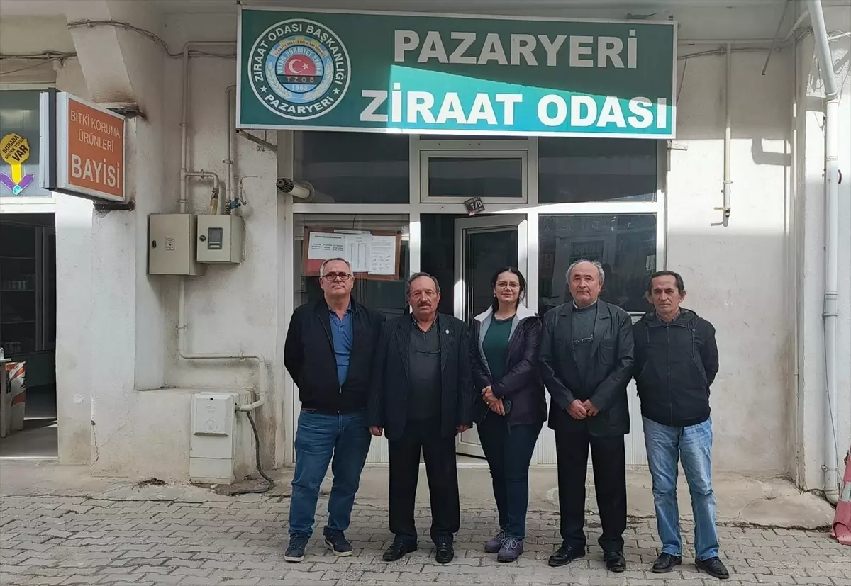 Pazaryeri Ziraat Odası'nın tütün ve ipek böcekçiliği projesi