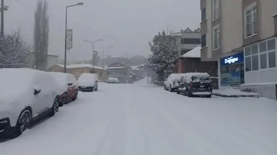 Kar Yağışı Posof'ta Ilgar Geçidi'ni TIR'lar İçin Kapattı