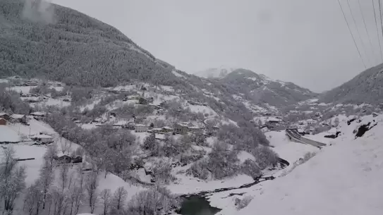 Zigana Dağı'nda Beyaz Örtünün Büyüsü: Kış Manzarası