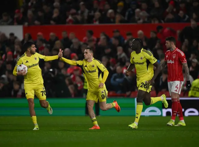 Fenerbahçe gol sevinci