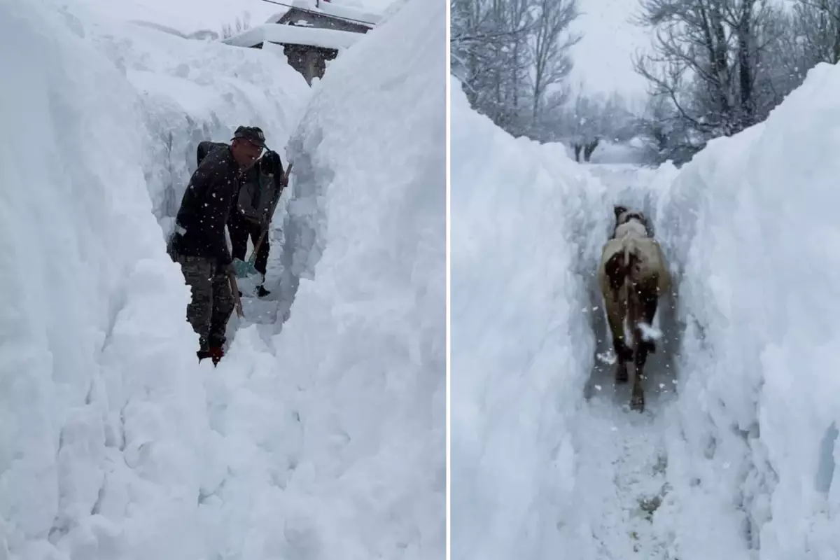 Koyungölü köyünde karla kaplı evler