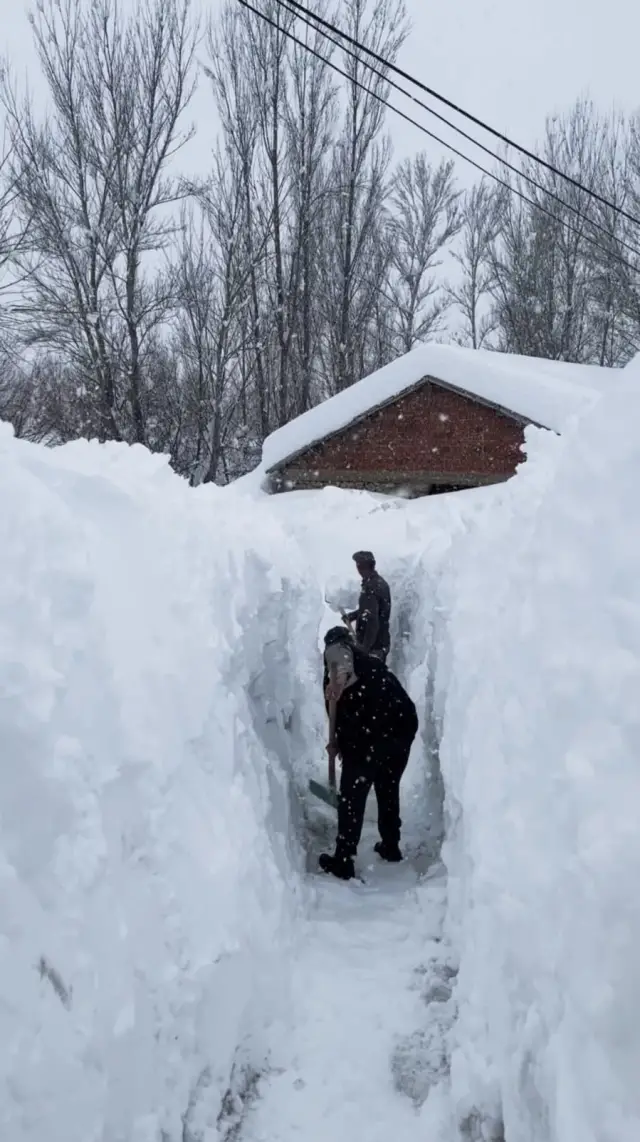 Karla kaplı köy yolu