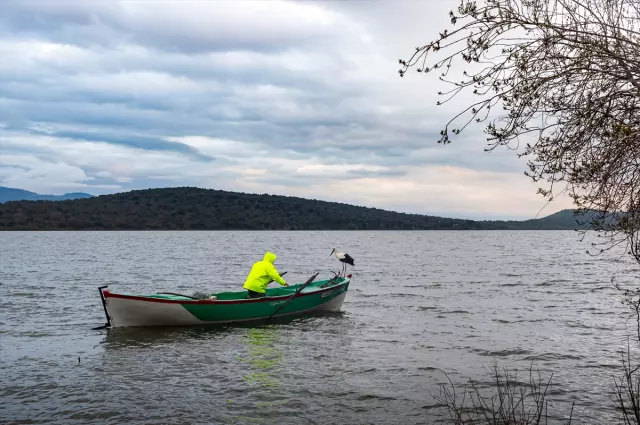 Yaren Leylek gölde süzülürken