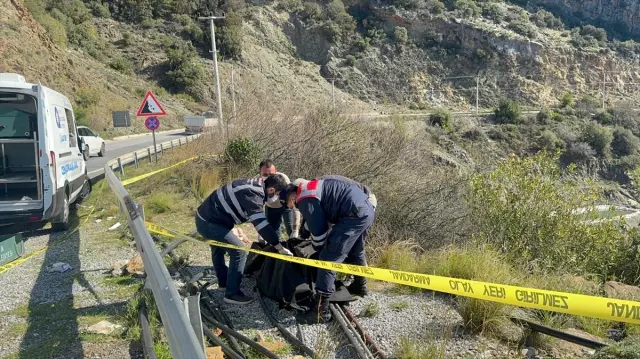 Yol kenarında bulunan kadın cesedi