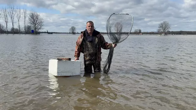 Sazan balığıyla dolu sepet