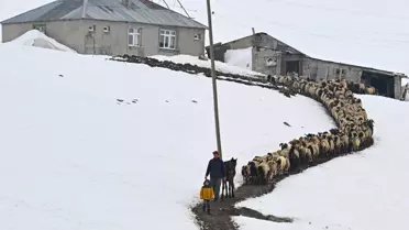 Van'ın Muradiye Köyünde 9 Yıldır Kar Altında Nöbet Tutulan Çift