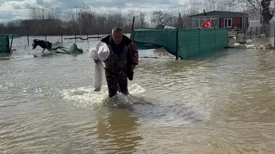 Meriç Nehri Selinden Sonra Tarlalarda Sazan Avı Şaşkınlık Yarattı