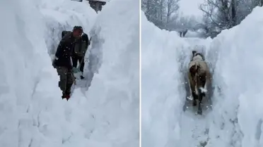 Tunceli'nin Ovacık Köyünde Kar Kalınlığı İnsan Boyunu Aştı: Yaşam Zorlaşıyor