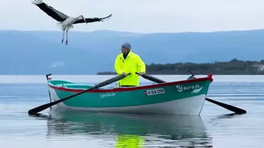Yaren Leylek 15. Kez Eskikaraağaç Leylek Köyü'nde Balıkçının Kayığına Kondu