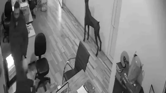 Bursa’da Kolonya Şakası Aniden Alev Aldı: Panik ve Hızlı Müdahale