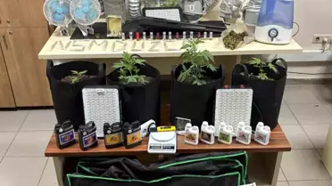 Düzce'de Narkotik Operasyonu: 5 Şahıs Tutuklandı, 68 Kişi İşlem Gördü