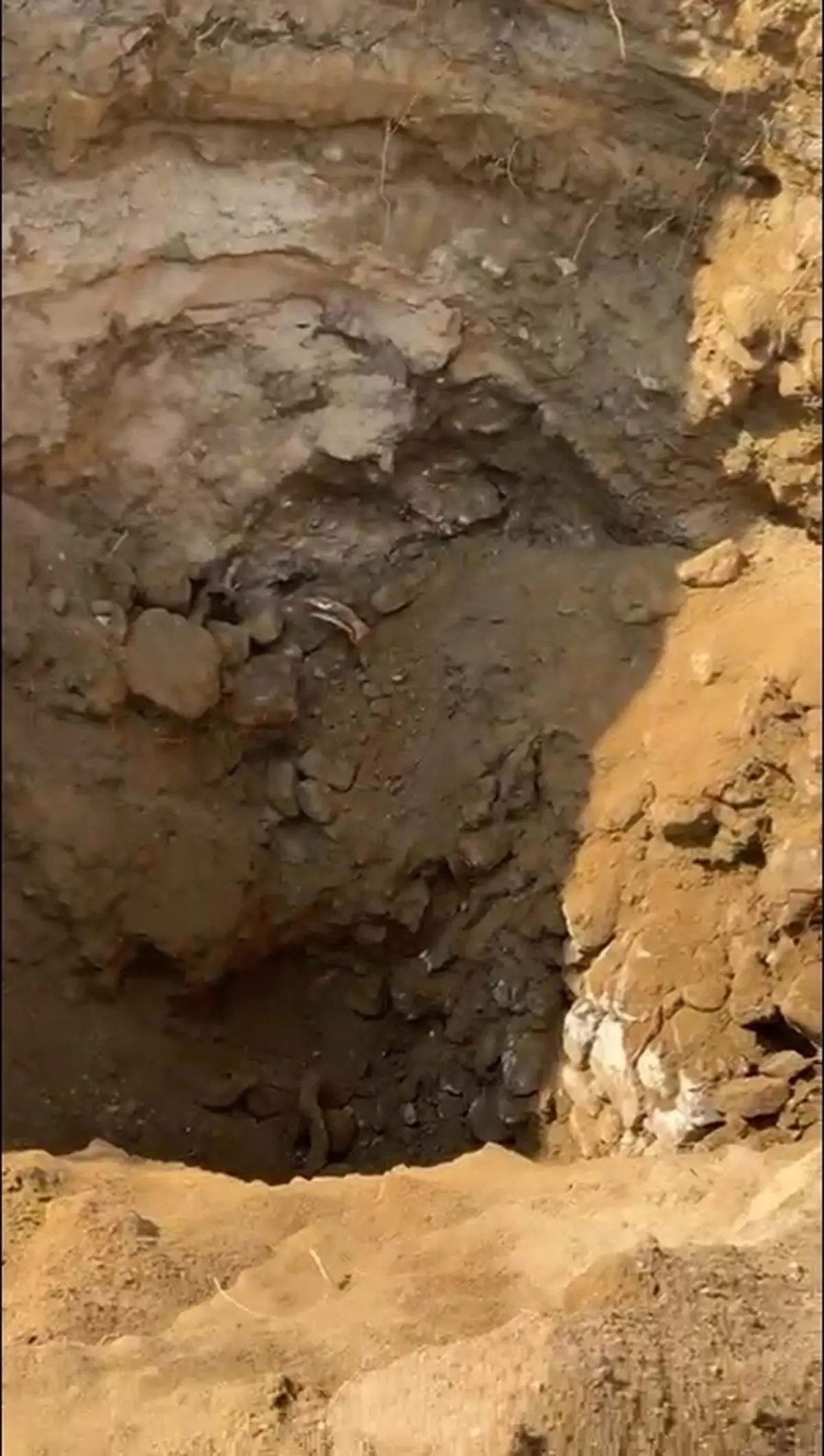 Aydın’da 16 Yıllık Kayıp Kardeşlerin İzinde Yeni Kazı Çalışmaları Başladı