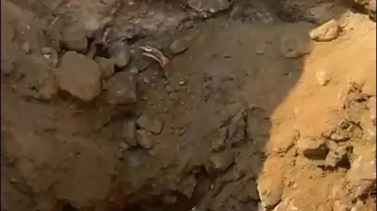 Aydın’da 16 Yıllık Kayıp Kardeşlerin İzinde Yeni Kazı Çalışmaları Başladı