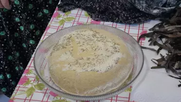 İzmir'de Lise Öğrencileri Deniz Çayırından Yeni Gıda Kaynağı Keşfetti