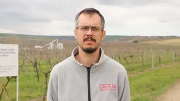 Gün Işığı Üzümü: Tekirdağ’da Tarımsal Yenilik ve Pazar Potansiyeli