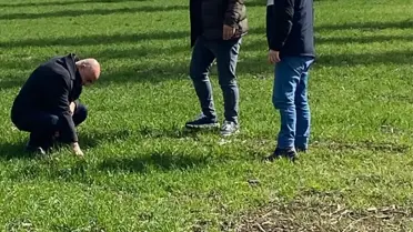 Çorum’un Hububat Tarlalarında Yağış Sonrası Hastalık Kontrolleri Sürüyor