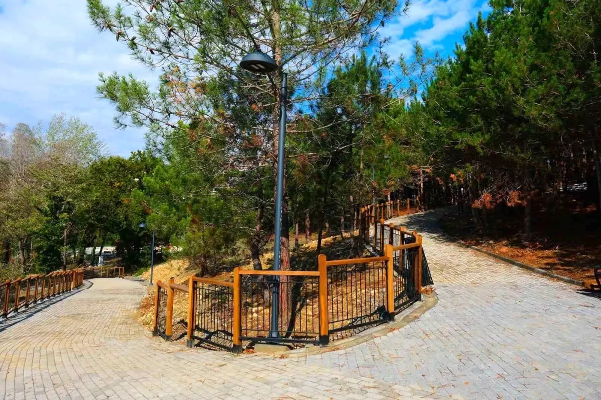 Sakarya’da 23 Nisan Halk Koşusu ile Spor Tutkusu Şehrin Sokaklarına Yansıyor