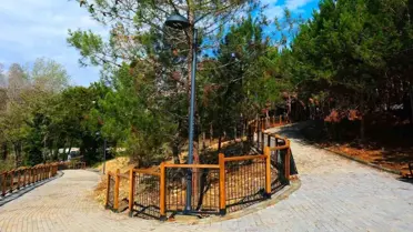 Sakarya’da 23 Nisan Halk Koşusu ile Spor Tutkusu Şehrin Sokaklarına Yansıyor