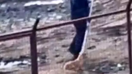 Sakarya Valiliği Geyve ve Pamukova'daki Hayvan Barınaklarını Denetledi