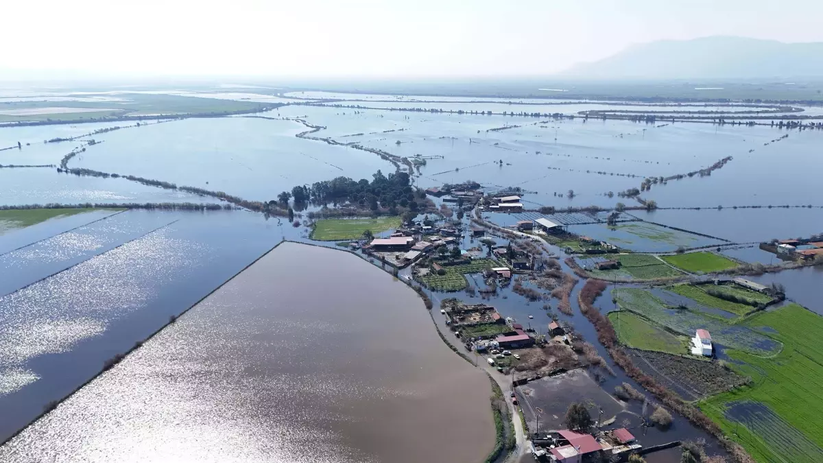 Aydın'da Taşkın Suları Flamingolara Besin Zengini Alanlar Yaratıyor
