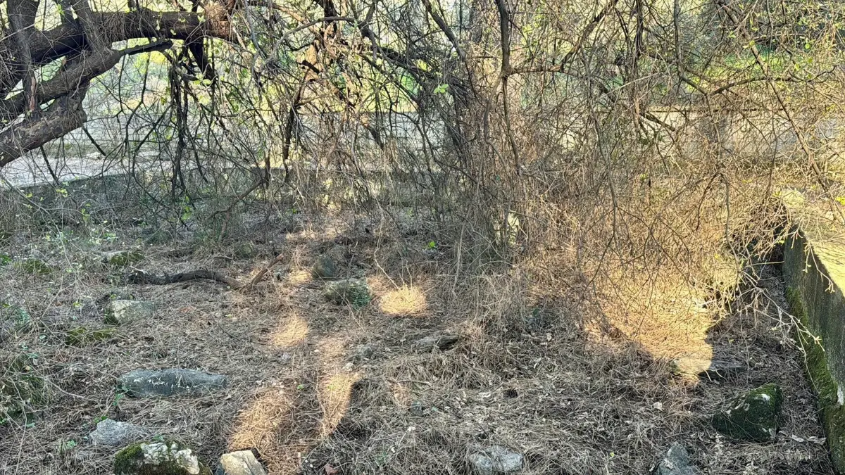 Muğla’da Tarihi Adak Taşı Çalındı: Delik Dede Mezarlığı’nda Şok Olay