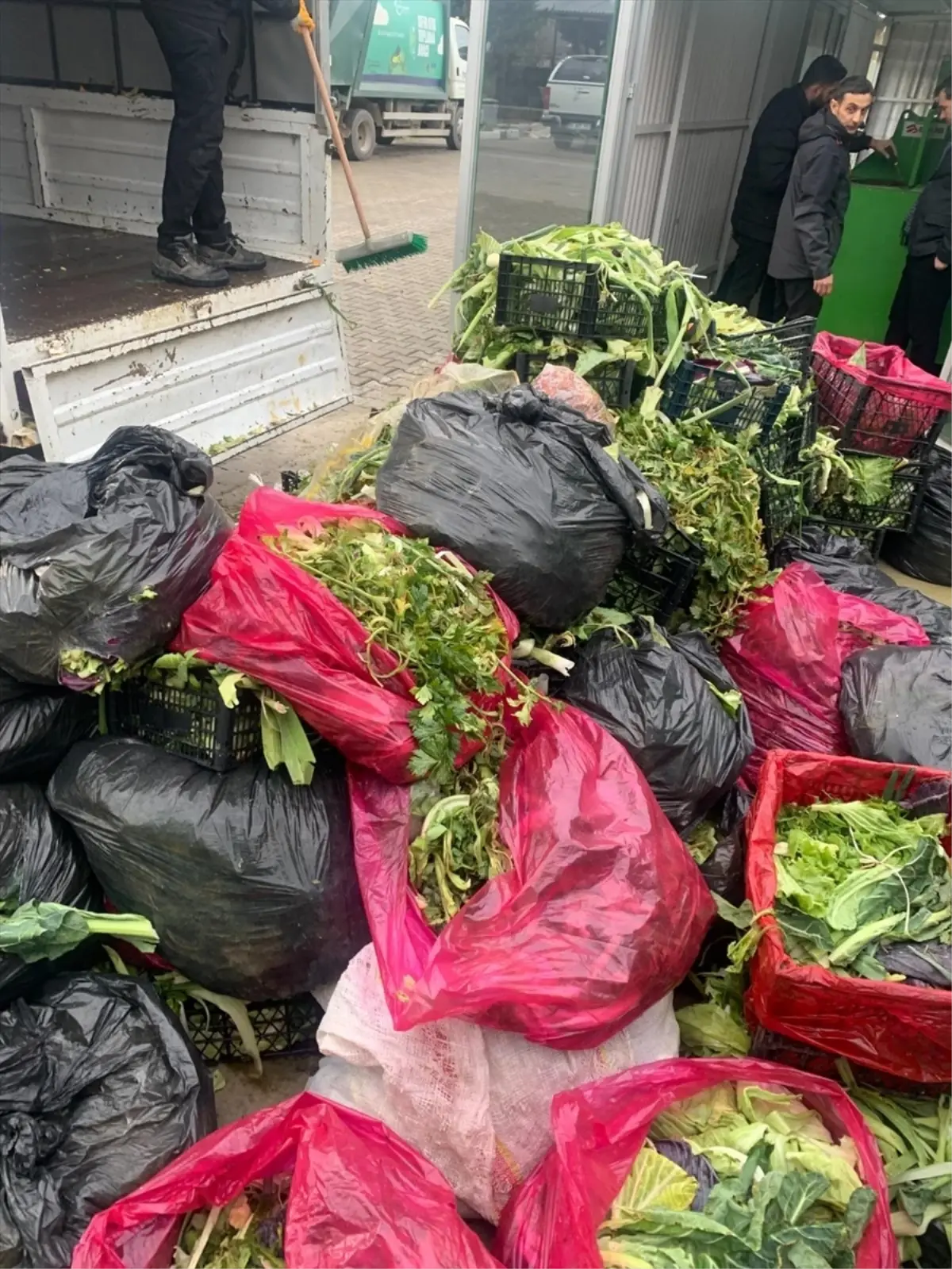 Çınarcık’ta Atıklar Organik Gübreye Dönüştürülüyor: Üreticilere Ücretsiz Sunuluyor