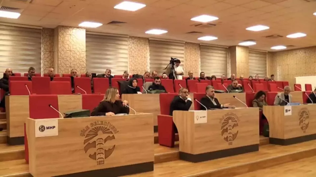 Şile Meclisi'nde Hayvan Barınağı Tartışması: İnsan Barınağı Önerisi Gündemde