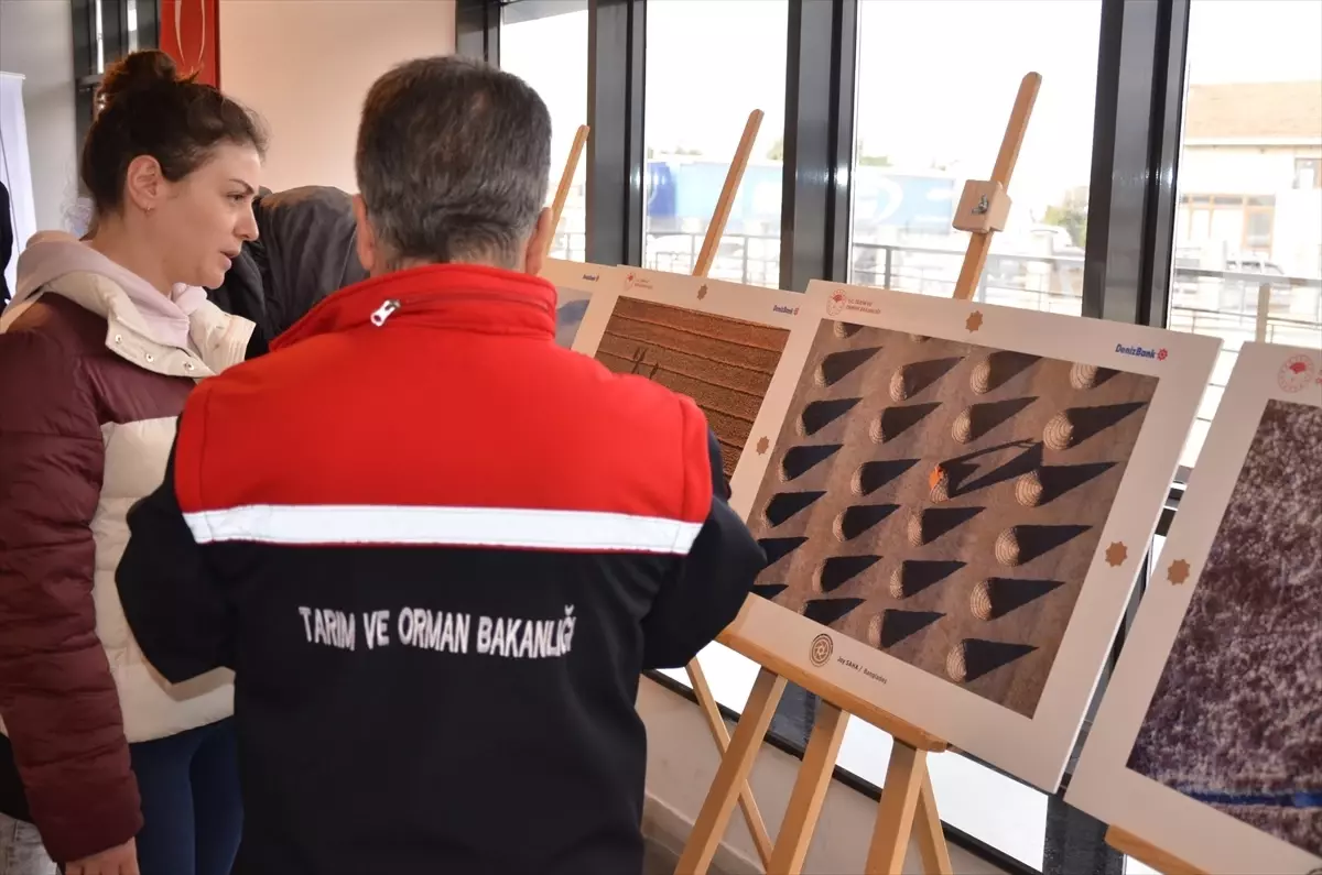 Sinop Kültür Merkezi’nde Uluslararası Tarım Fotoğrafı Sergisi Başladı