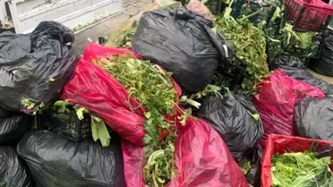 Sebze ve meyve atıklarından üretilen organik gübre