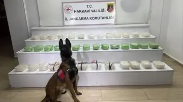 Ele geçirilen uyuşturucu paketleri