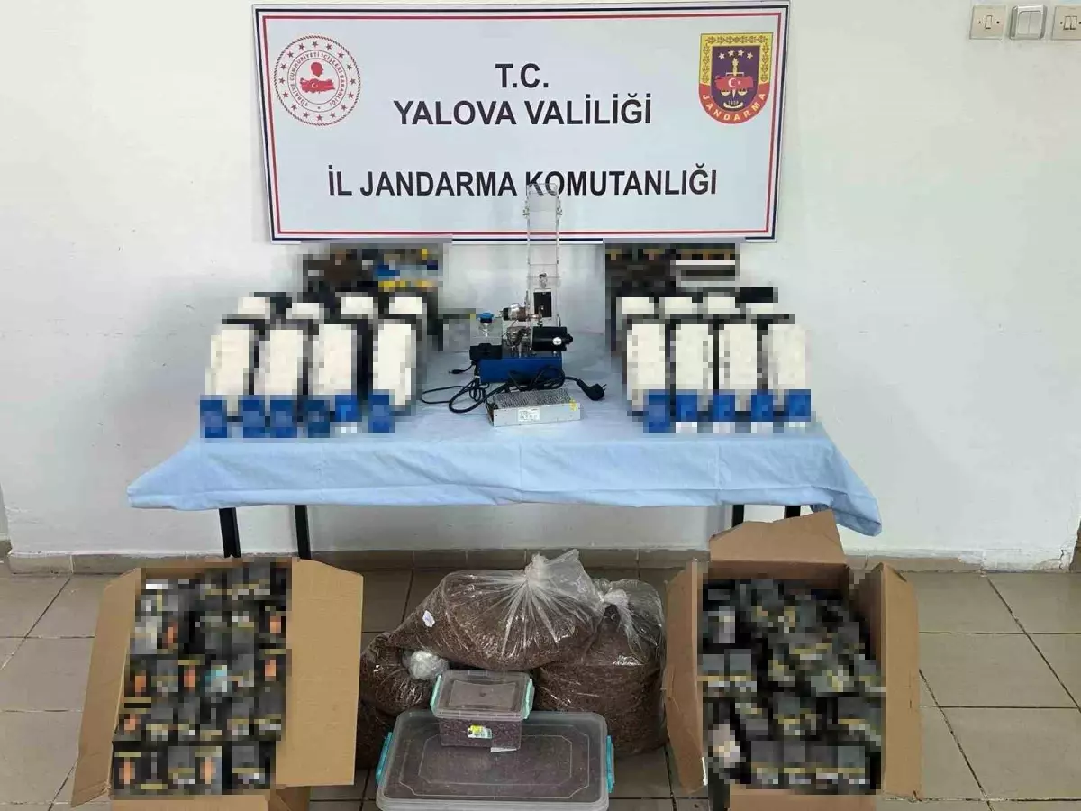 Yalova’da Jandarma, 27 Bin Makaron ve 16 Kg Kaçak Tütünü Ele Geçirdi