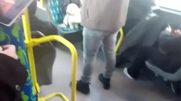 Metrobüste oturan köpek
