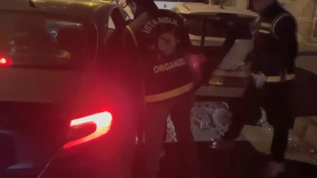 İstanbul'da Silah Kaçakçılığı Operasyonu: 1 Şüpheli Tutuklandı, 50 Tabanca Ele Geçirildi