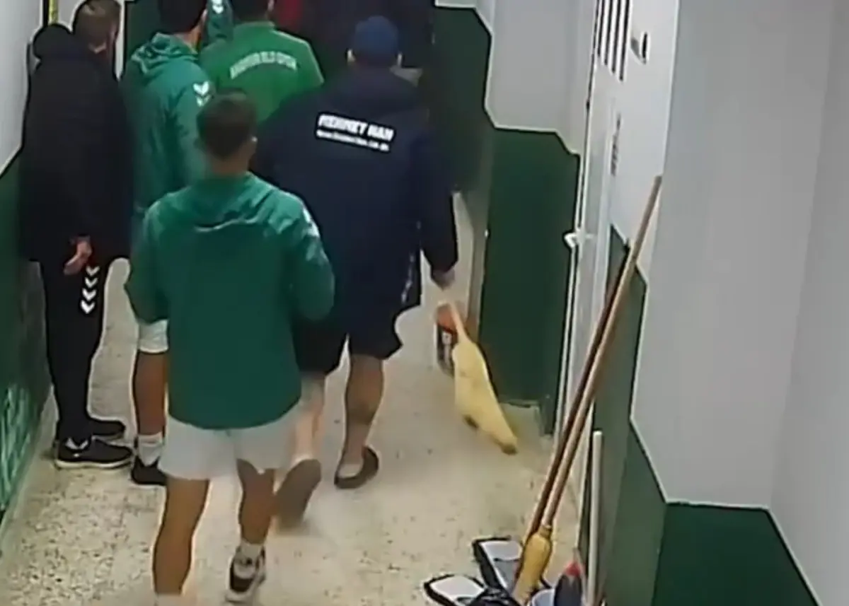 Mersin’de Amatör Futbol Maçı Soyunma Odası Kavgası Sonrası İptal Edildi