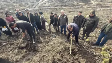 Ağaçlandırma çalışması sırasında fidan dikimi