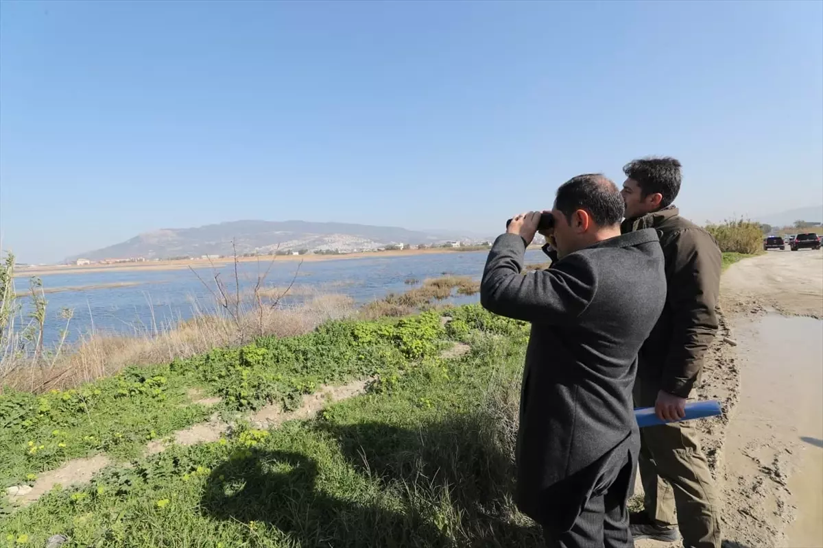 Hatay Valisi Masatlı’dan Milleyha Sulak Alanı Koruma Çalışmalarına Dair Detaylı İnceleme