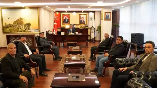 Aliker-Delave konut inşaatı