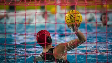 Turnuvada mücadele eden takımlar