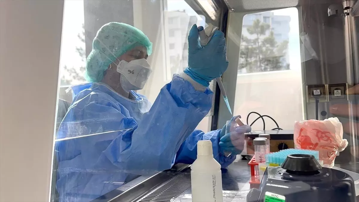 Eskişehir Halk Sağlığı Laboratuvarı, TB Hizmetinde Düzey III’e Yükseldi