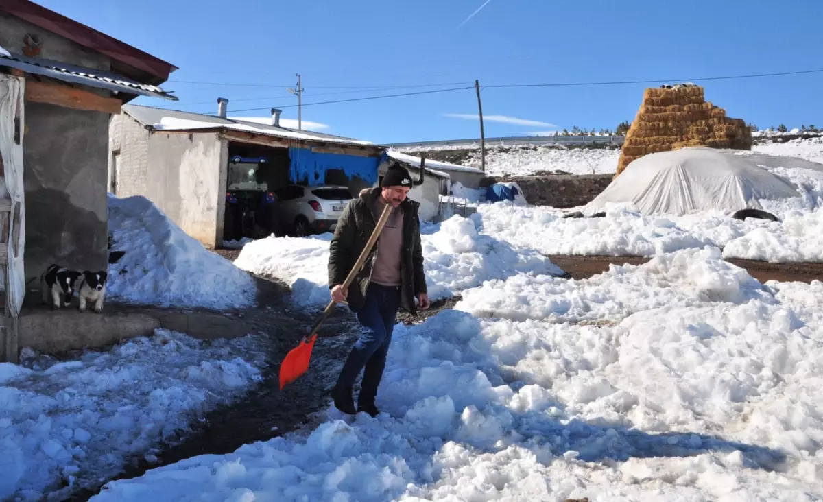 Kars’ta Köpeklerle Mücadele: Salih Uzgur’un Kurtları Kürekle Kovalaması