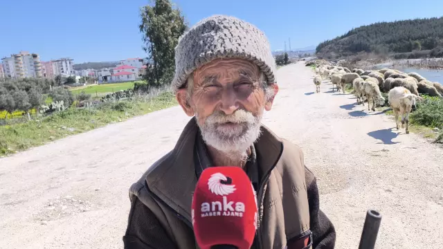 Ömer Seven'in koyun sürüsü