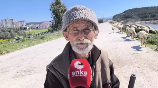 66 Yaşındaki Ömer Seven, Koyun Besiciliğiyle Geçimini Sağlıyor