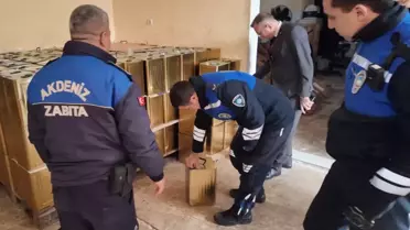 Ele geçirilen sahte zeytinyağı paketleri