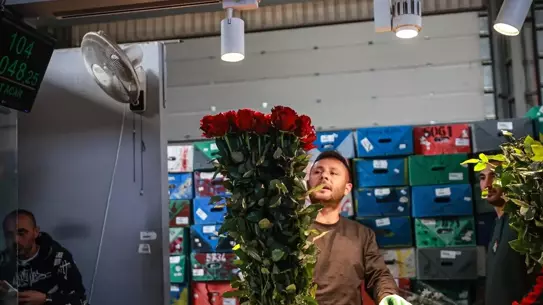 Renkli çiçekler mezatta sergilendi