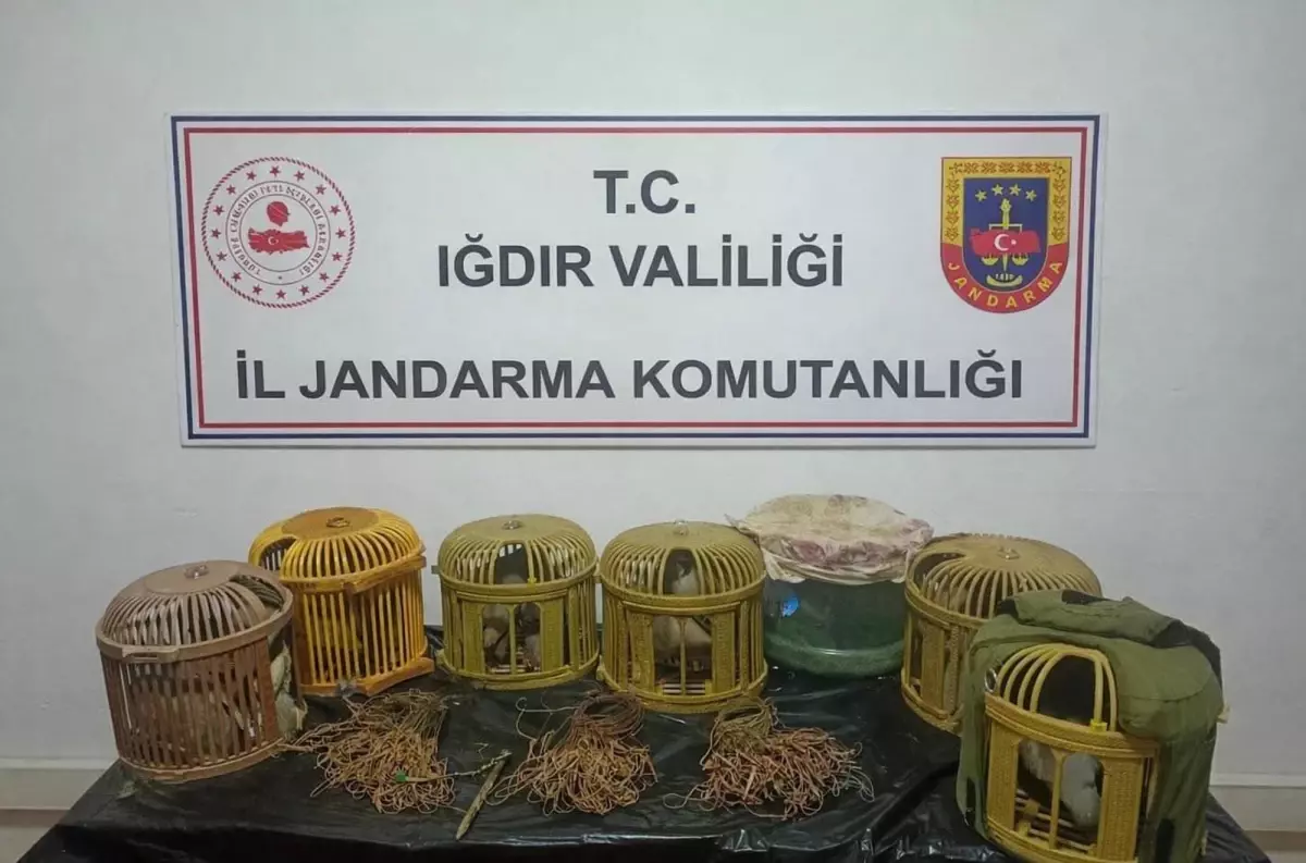 İğdır’da Kaçak Keklik Avcısına 175 Bin Lira Para Cezası Kesildi